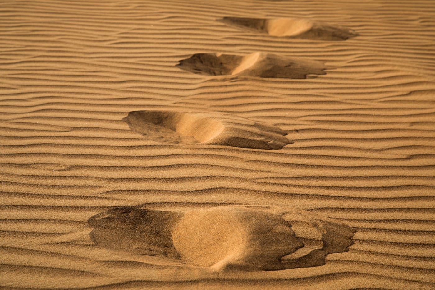 4 footprints in the sand